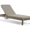 Broyhill Eagle Brooke All-Weather Wicker Cushioned Chaise Lounger 2 Broyhill Eagle Brooke All-Weather Wicker Cushioned Chaise Lounger -Broyhill Sales Store 810459548