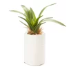 Mini Faux Greenery In White Ceramic Pot -Broyhill Sales Store 810509521
