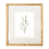 Botanical Linen Framed Print -Broyhill Sales Store 810540303