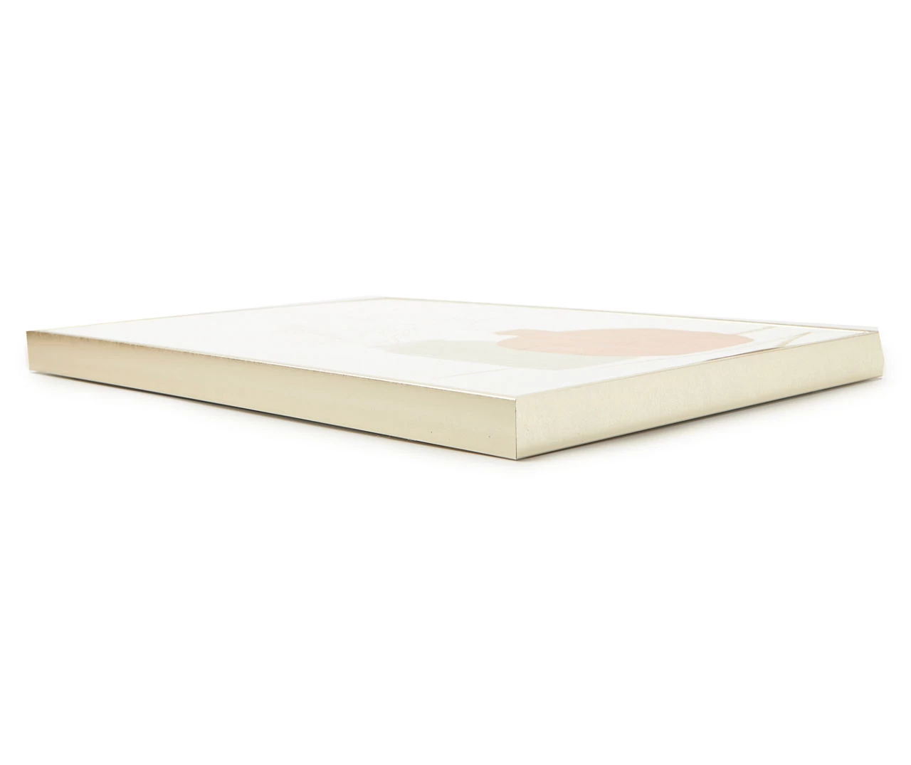 Pink & Gray Potted Plants Framed Canvas 4 Pink & Gray Potted Plants Framed Canvas - Image 2