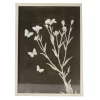Black & White Butterfly Botanical Framed Art Print -Broyhill Sales Store 810552400