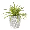 Grass In Arch Pattern Pot 1 Grass In Arch Pattern Pot -Broyhill Sales Store 810553579
