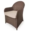 Broyhill Autumn Cove All-Weather Wicker Cushioned Patio Captain's Dining Chair