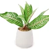 Green Artificial Leafy Arrangement With White Ridged Ceramic Pot -Broyhill Sales Store 810561038