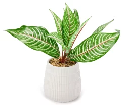 Green Artificial Leafy Arrangement With White Ridged Ceramic Pot