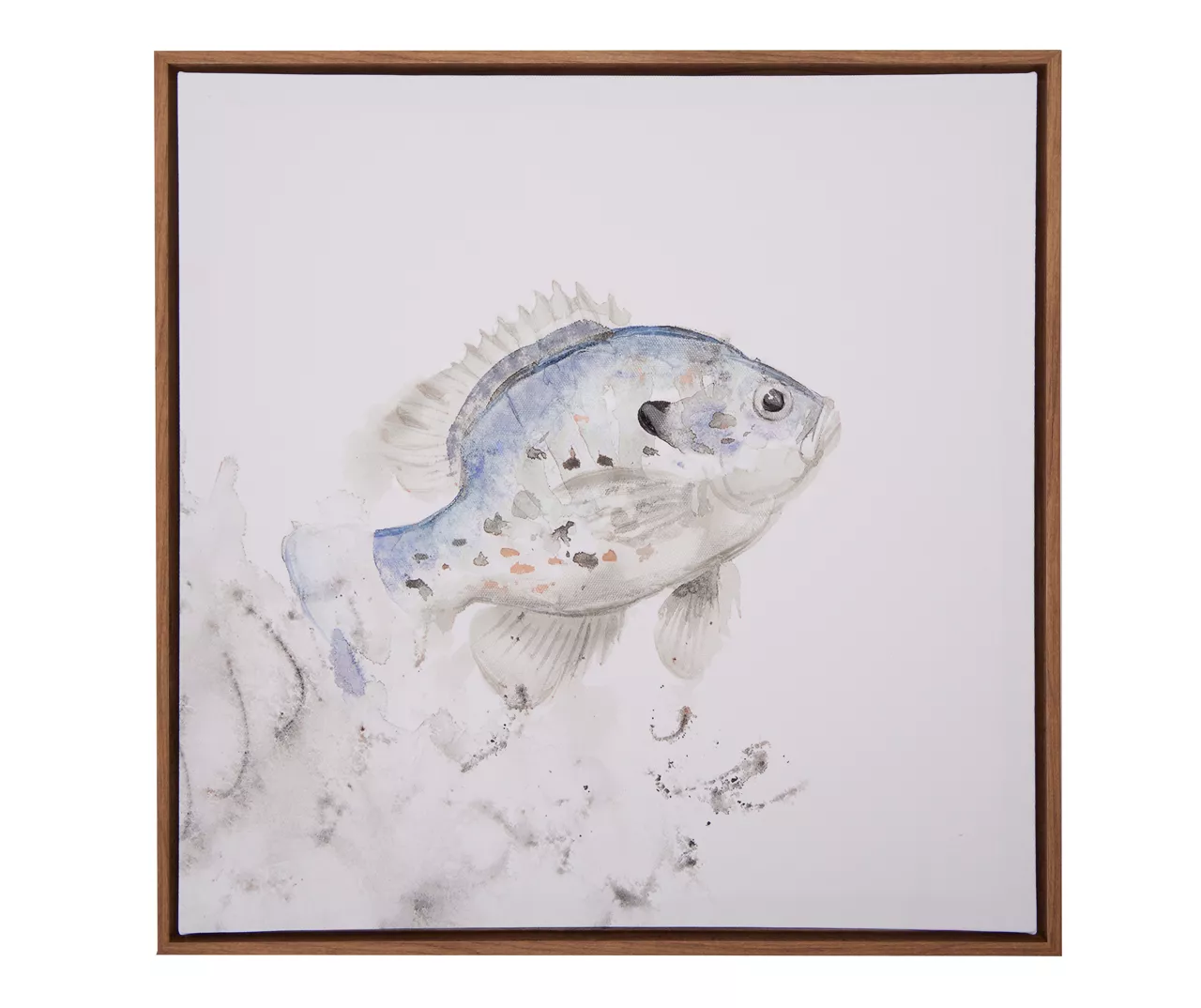 Blue & Brown Fish 1 Framed Canvas 3 Blue & Brown Fish 1 Framed Canvas