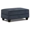 Dancaster Navy Storage Ottoman -Broyhill Sales Store 810569830 2
