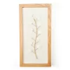 New Beginnings White Capiz Botanical Framed Wall Art -Broyhill Sales Store 810595455 A0