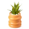 Wild Sedona Artificial Succulent In Orange Ribbed Cement Pot -Broyhill Sales Store 810601628 A0 1