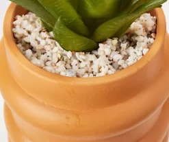 Wild Sedona Artificial Succulent In Orange Ribbed Cement Pot 5 Wild Sedona Artificial Succulent In Orange Ribbed Cement Pot -Broyhill Sales Store 810601628 A8 2
