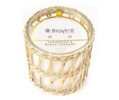 Wild Sedona Tangerine & Black Currant 2-Wick Seagrass Sleeve Candle, 14 Oz.