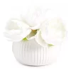 White Artificial Peony Arrangement In White Ridged Ceramic Pot 2 White Artificial Peony Arrangement In White Ridged Ceramic Pot -Broyhill Sales Store 810603806 A0