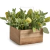 Artificial Greenery With Brown Square Wood Pot & Glass Hurricane -Broyhill Sales Store 810604219 A0