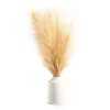 Tan Pampas Grass Arrangement With White Ceramic Pot 1 Tan Pampas Grass Arrangement With White Ceramic Pot -Broyhill Sales Store 810604675 A0